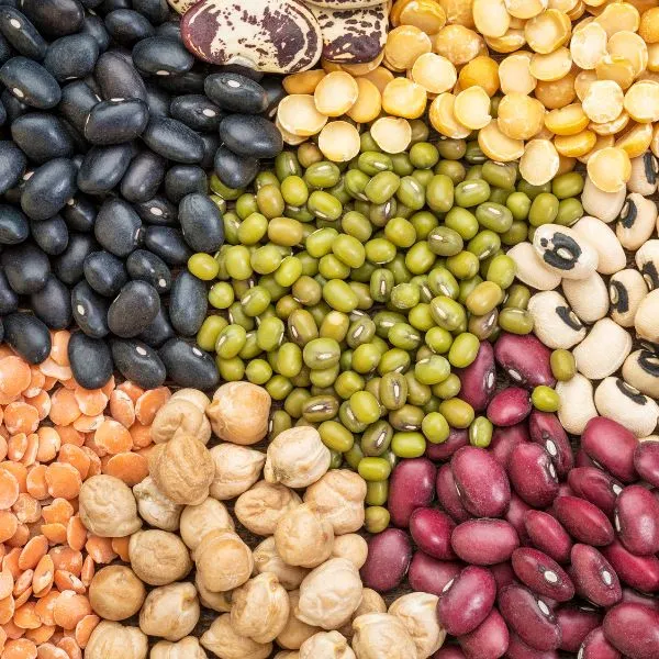 Photo de légumineuses