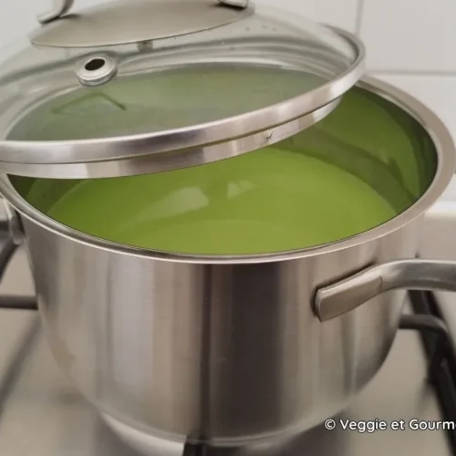 Marmite de soupe aux poireaux