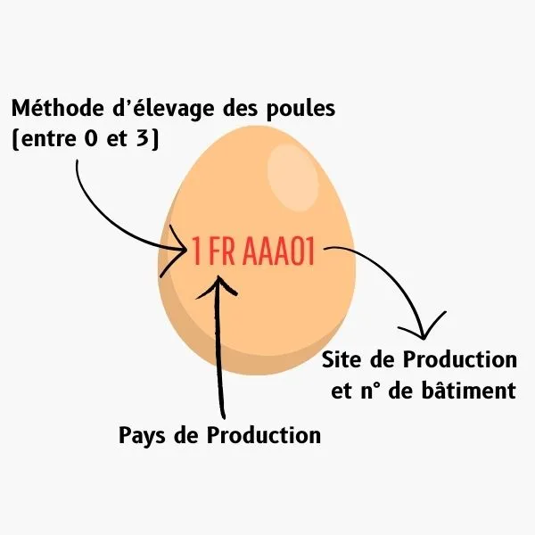 Illustration d'un oeuf avec son code décrypté
