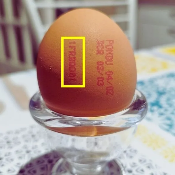 Photo d'un oeuf avec son marquage rouge